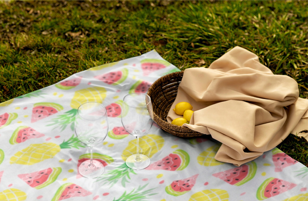 Pătură de picnic 300x200 cm cu izolație fructe *5752