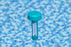 Flowclear™  Floating Pool Thermometer