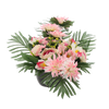 KYTICE CH-33 (ŠÍŘ. 50 CM, VYS. 30 CM) PĚNÍZEK S CHRYSANTÉM MIX BARVY