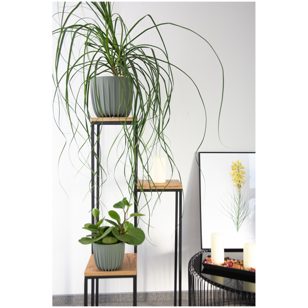 Low pot MIRA 160-GRAY*75151