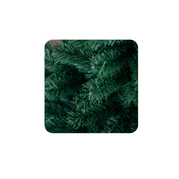 MONTANA SPRUCE IN POT 0.8 M CHRISTMAS TREE