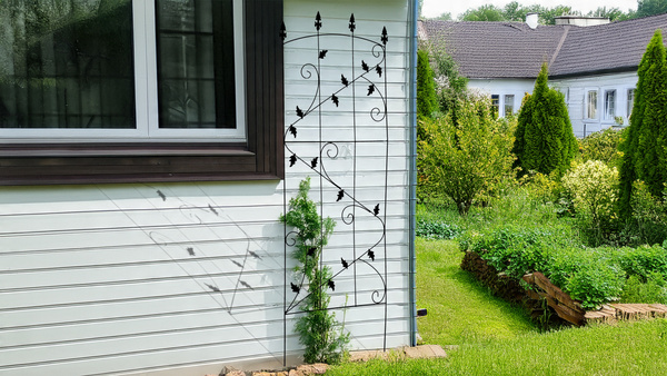 MŘÍŽKA / PODPĚRA PRO ROSTLINY 60 x 167 CM ČERNÁ *1930