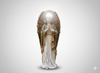 ANGEL FIGURE 86 × 61 × 203 cm
