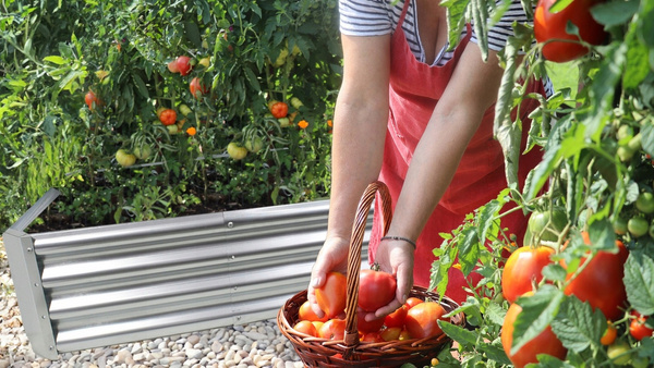 VEGETABLE-FLOWER BED 180 X 90 X 30 CM RECTANGULAR GALVANIZED