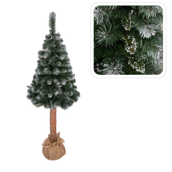 BALTICKÁ DIAMANTOVÁ BOROVICE NA KMEŇ 1,8 M STROMEK *1200