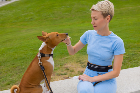 DOG ACCESSORIES
