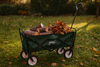 WÓZEK OGRODOWY ZIELONY SKŁADANY 116 x 54 x 90 cm *5168