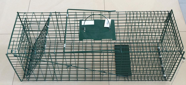 PUŁAPKA NA KUNY / KOTY / – ŻYWOŁAPKA 93,5X31X31 CM *3613