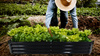 VEGETABLE-FLOWER BED 180 X 90 X 30 CM RECTANGULAR ANTHRACITE