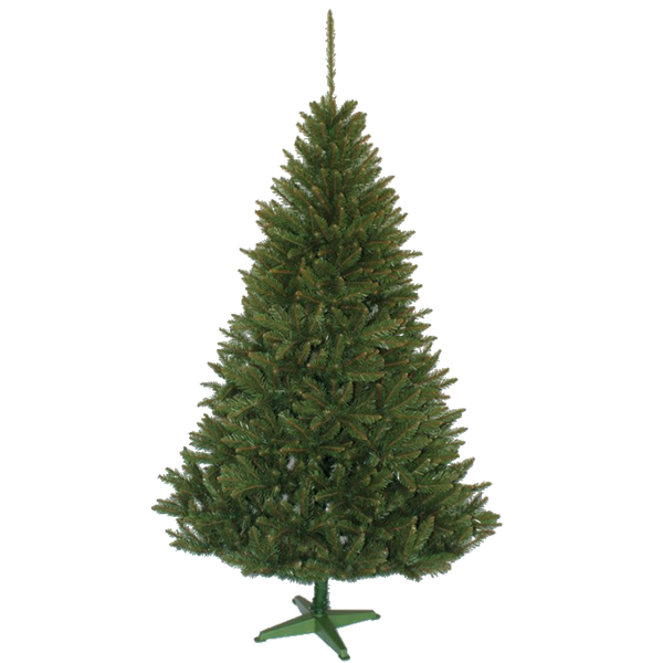 HORSKÝ SMRK 150CM*0691