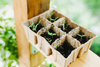 SET OF 10 SEED TARTING TRAYES 15,5X11,5X5 CM