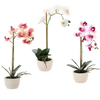 UMĚLÝ KVĚT - ORCHIDEJ MIX 3 BARVY 43 CM bal.=6 ks*4801