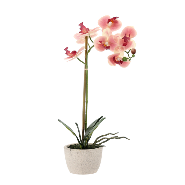 UMELÝ KVET - ORCHIDEA MIX 3 FARBY 43 CM bal=6 ks*4801