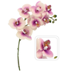 UMELÁ VETVIČKA - ORCHIDEA 82 CM RŮŽOVO-BIELA balenie=24 ks *3650