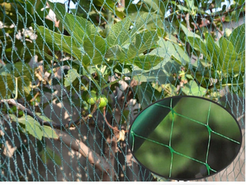 REȚEA DE PROTECȚIE ÎMPOTRIVA PĂSĂRILOR 10m x 15m (4g/m2) + 20 PEGURI DE ÎNCREDARE VERDE *0472