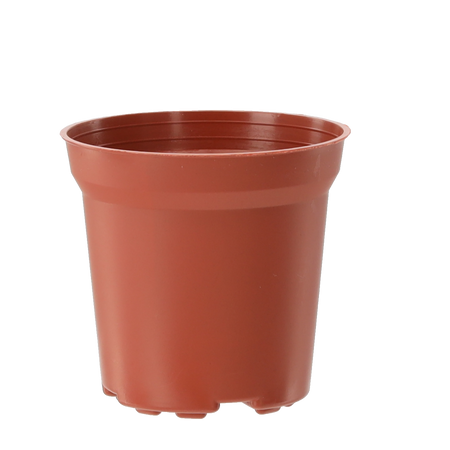 SET OF 20 PP POTS 7.2 x 6.8 CM