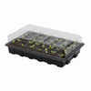 MINI GREENHOUSE FOR GERMINATION 40 CELLS 