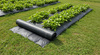 BLACK AGROTEXTILE 1,1 x 50 M 135 g/m2