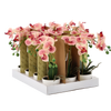 UMĚLÁ KVĚTINA - ORCHIDEA MIX 3 BARVY 30 CM bal=12 ks pal=36 ks *4825