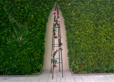 Garden Pergola Pyramid 31 x 31 x 200 CM (+ ANCHORS)