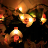 SOLAR LIGHT 20 LED