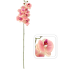 UMĚLÝ ČLÁNEK - ORCHIDEA 74 CM RŮŽOVÁ bal=24 ks *3636