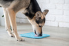 DOG FEEDER MAT