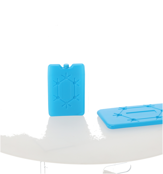 COOLER BAG WITH INSERT