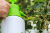 COMPRESSION SPRAYER 2 L pack=6 pcs