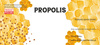 KPL. 100 ETIKETY PROPOLIS 116 x 50 MM *8337