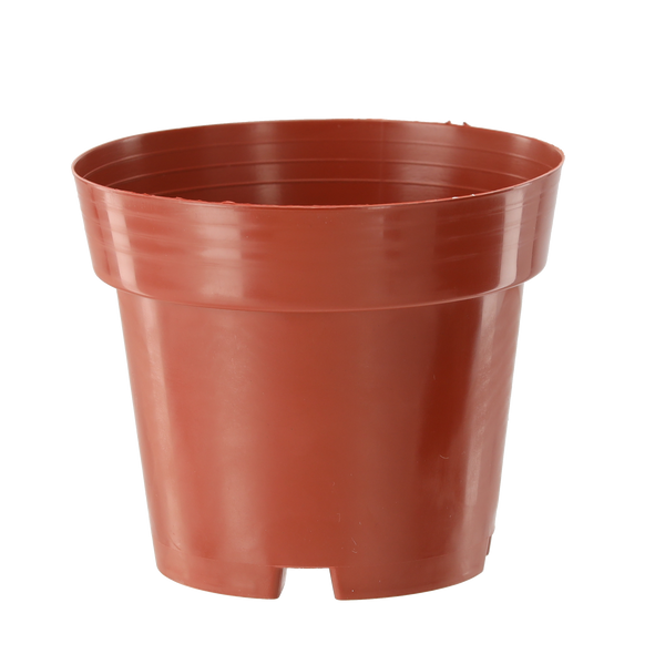 KPL. 5 DONICZEK PP 14,5 x 12 CM *3364