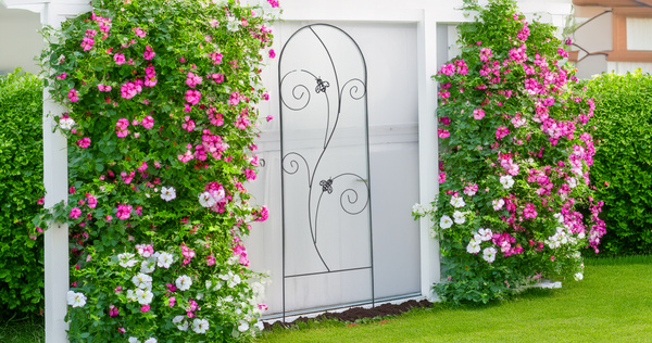 Grid / support for plants 60 x 167 cm black