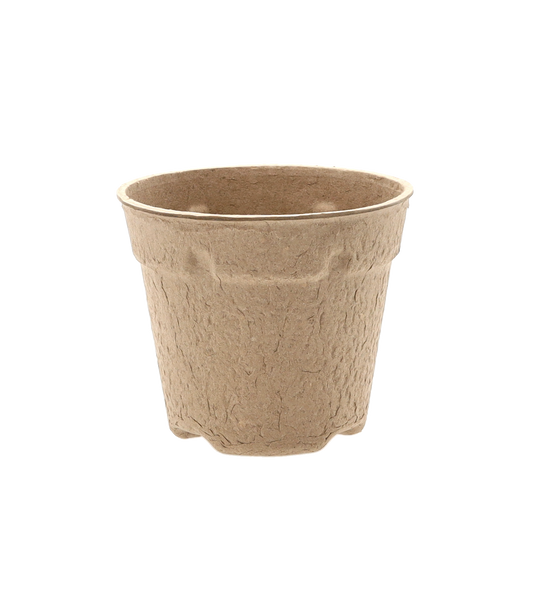 KPL 5 rašelinių črepníkov 10 x 10 CM