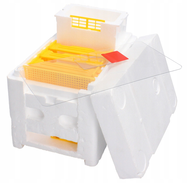Wedding hive 3-frame with styrofoam feeder