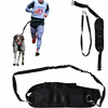 DOG ACCESSORIES