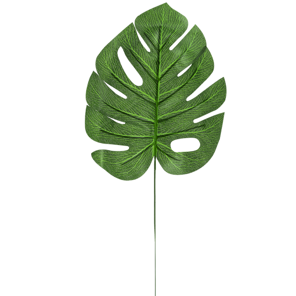 MONSTERA LEAF*9227