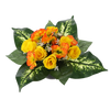 KYTICA CH-21 ( ŠÍRKA 40 CM, VÝŠKA 30 CM) HIBISKUS MIX FARBA