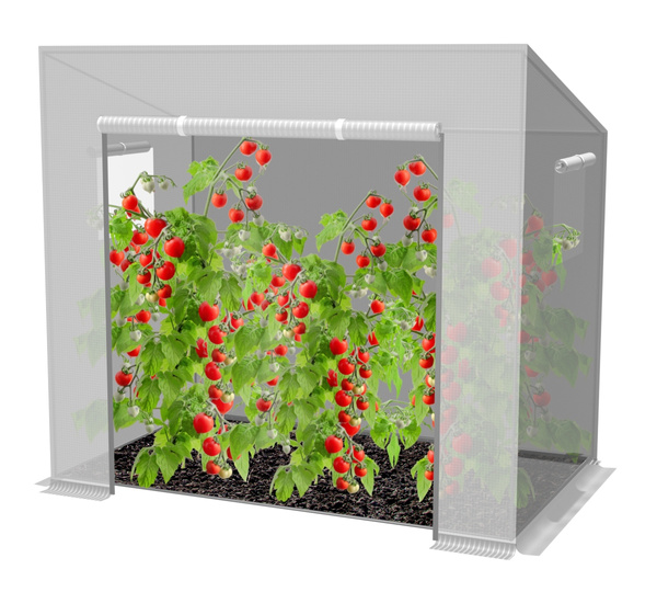 TOMATO GREENHOUSE WHITE 200 X 77 X 168/146 CM