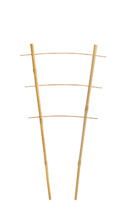 Bamboo double ladder 45 cm pack=25 pcs