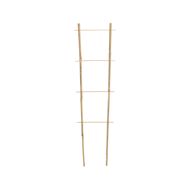 Bamboo ladder 75 CM x 35 CM x 10/12 MM pack=25 pcs