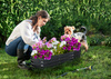 Vegetable-flower bed 180 X 90 X 30 CM oval anthracite