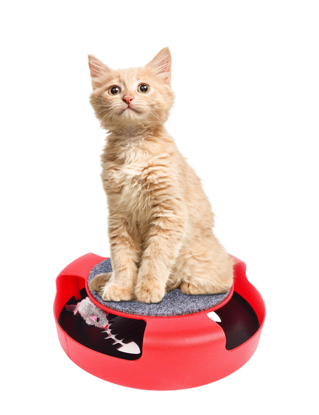 CAT TOY WITH MOUSE 25 X 25 X 7 CM