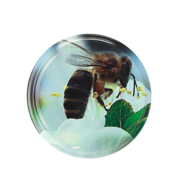 LID FI 82 6Z BEE ON A FLOWER