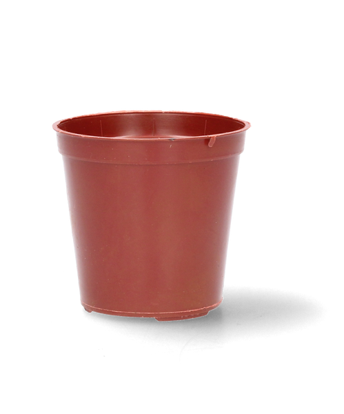 KPL. 12 DONICZEK DO ROZSAD FI 6 CM