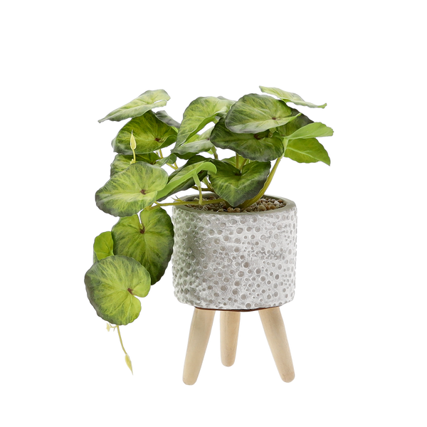 PLANTĂ ARTIFICIALĂ 20 CM ambalaj=6 buc *4870