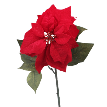 SZTUCZNA GAŁĄZKA - GWIAZDA BETLEJEMSKA 78 CM CZERWONY opak=12 szt *3780