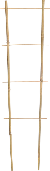 DVOJITÁ BAMBUSOVÁ REBRÍK 45 CM balenie=25ks *3137