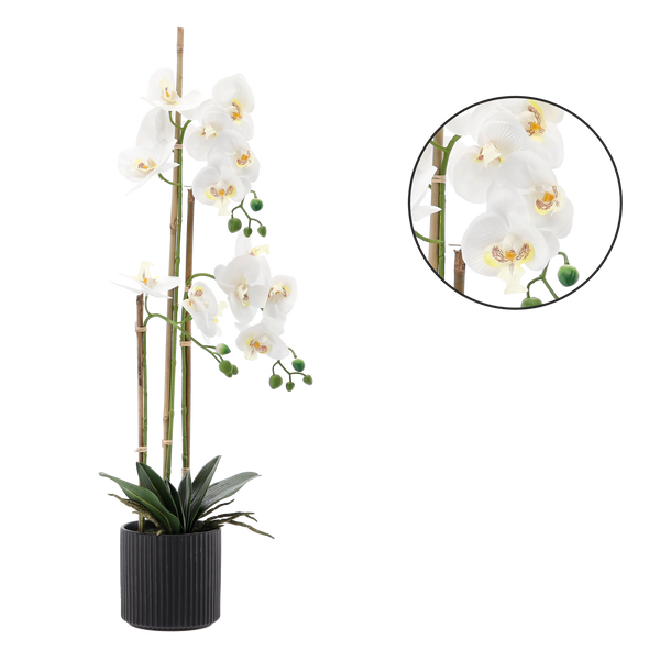 UMELÝ KVET - ORCHIDEA BIELA 77 CM bal=2 ks *4764