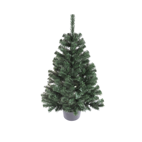 MONTANA SPRUCE IN POT 1.1 M CHRISTMAS TREE