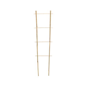 Bamboo ladder 75 CM x 35 CM x 10/12 MM pack=25 pcs